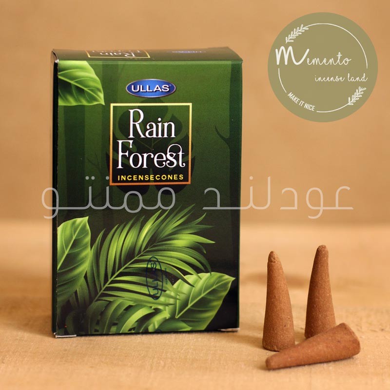 عود مخروطی جنگل بارانی عود مخروطی جنگل بارانی