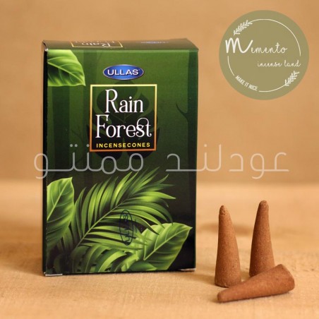 عود مخروطی جنگل بارانی